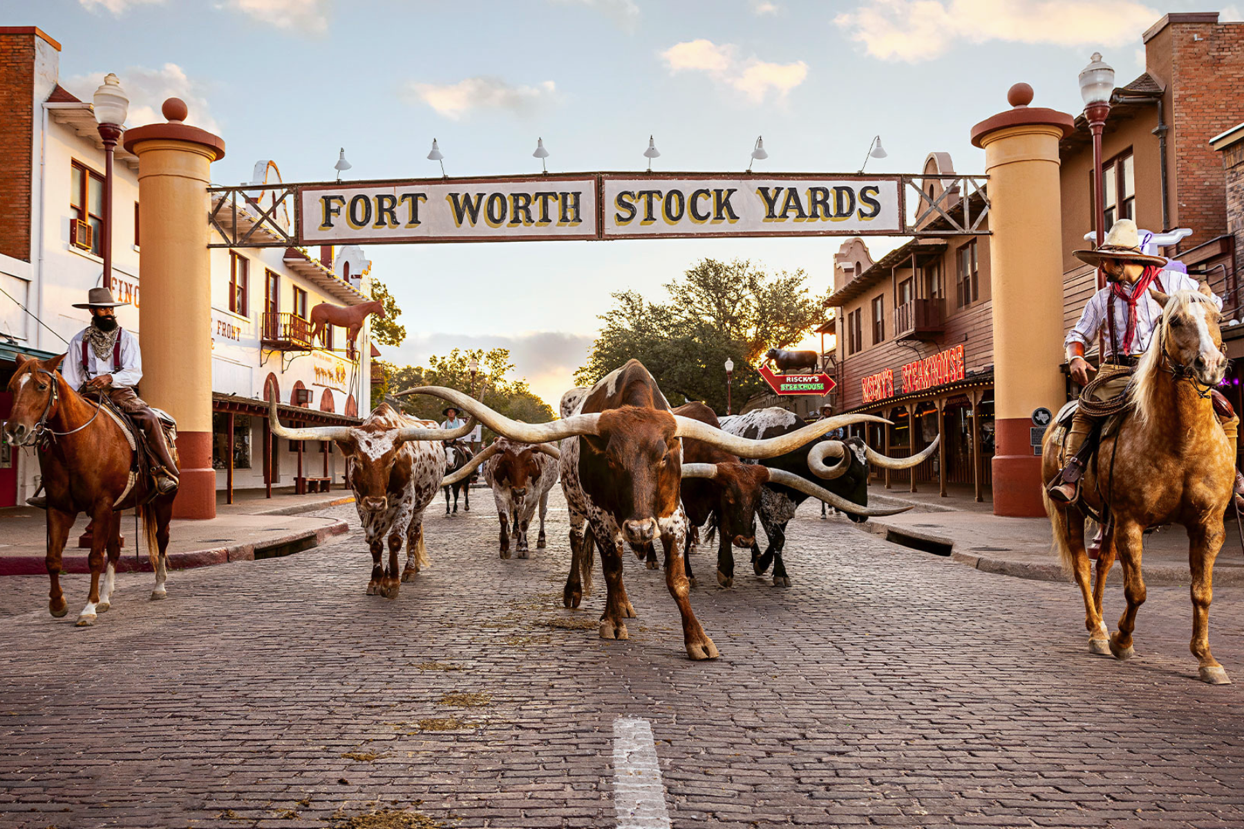 A group of longhorn cattle is led by riders on horseback down a cobblestone street at Fort Worth Stockyards, under a large entrance sign, capturing the spirit of Texas where even a Fort Worth public intoxication lawyer might pause to admire the spectacle.